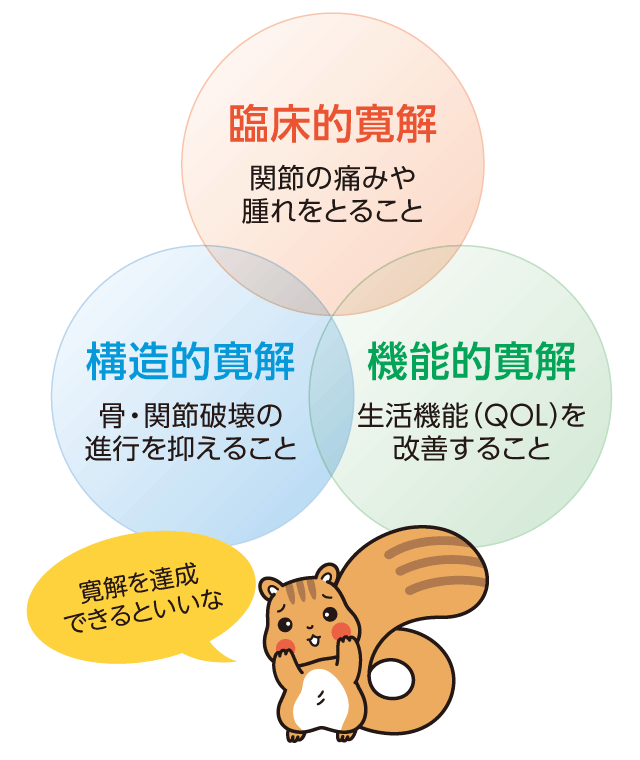 1.関節の痛みや腫れをとること(臨床的寛解)2.骨・関節破壊の進行を抑えること(構造的寛解)3.生活機能(QOL)を改善すること(機能的寛解)