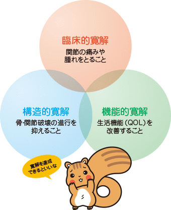 1.関節の痛みや腫れをとること(臨床的寛解)2.骨・関節破壊の進行を抑えること(構造的寛解)3.生活機能(QOL)を改善すること(機能的寛解)